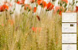 Fresh shots stack at the edge of the screen. Drag one into another app, copy it, pin it, or just throw it away.