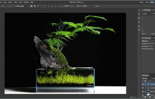 Capy Canvas screenshot 3