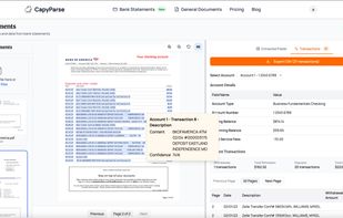 Extracted transaction data with bounding box verification on the source PDF