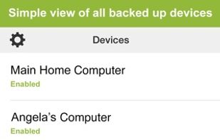 Carbonite screenshot 3