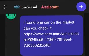 CarConsul screenshot 1