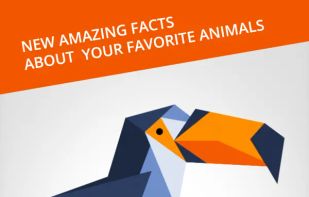 Cardinal Land screenshot 3