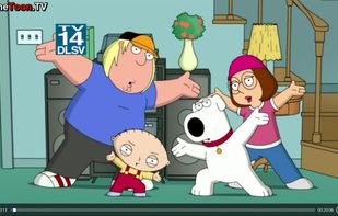 Cartoon bird screenshot 2