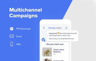 Build multichannel campaigns across email, SMS and Facebook messenger
