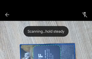 Scanning Screen to auto capture your mail piece or capture the image manually.
