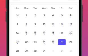 Mobile Calendar View