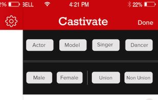 Castivate screenshot 2