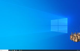 Castle Mascot screenshot 1