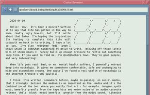 Castor Browser screenshot 1