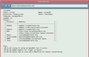 Castor Browser screenshot 2