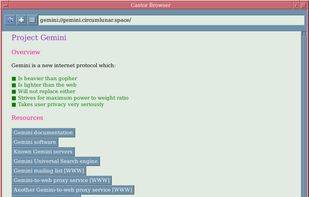 Castor Browser screenshot 1