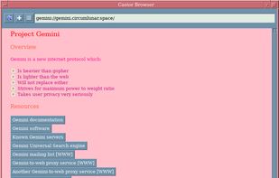 Castor Browser screenshot 3