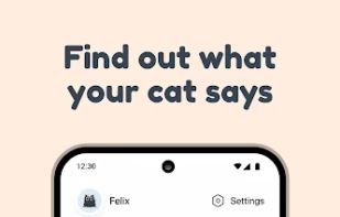 Find out what your cat says