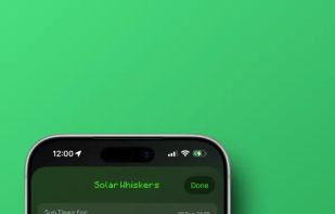 Cat Weather screenshot 3