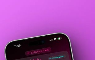 Cat Weather screenshot 1