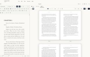 Side-by-side Previewer