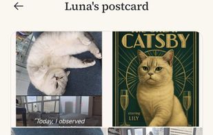 CatMD screenshot 1