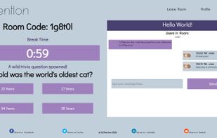 CATtention screenshot 1