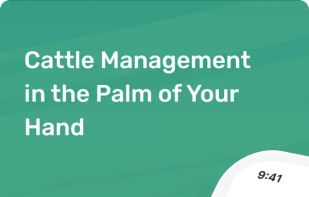 Cattlytics screenshot 1