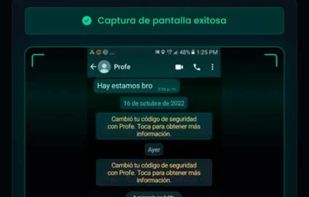 CatWatchful screenshot 1