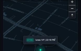CatWatchful screenshot 3
