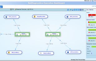 NetDiagnostics Executive Dashboard