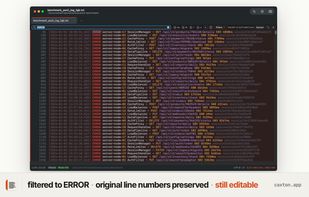 Filter shot: filtered to ERROR · original line numbers preserved · still editable