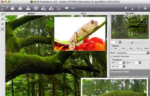 AKVIS Chameleon screenshot 1