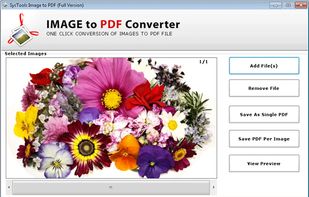 If you want to view the image, then click on the View Preview button.