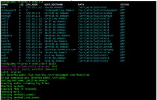 CBSD Jail demonstration