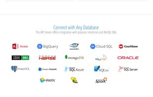CData API Server screenshot 2