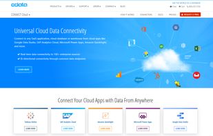 CData Connect screenshot 3