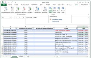 CData Excel Add-Ins screenshot 1