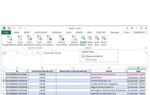 CData Excel Add-Ins screenshot 1