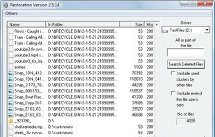 Restoration screenshot 1
