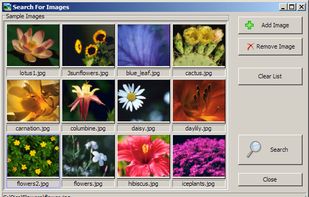 Visual Similarity Duplicate Image Finder screenshot 1