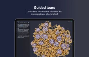 CellWalk screenshot 3