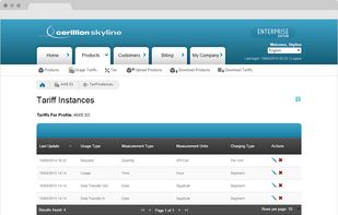Usage Charging and Metering