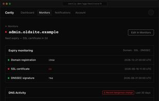 Monitor detail — unified expiry view for domain registration, SSL certificate, and DNSSEC signature, plus a chronological DNS activity timeline and the current DNS record snapshot.
