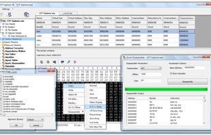 CFF Explorer screenshot 1