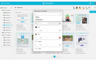 manage roles and access level