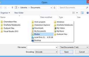 Chameleon Explorer screenshot 2