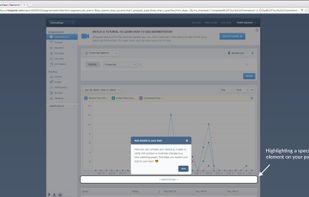 With Chameleon you can highlight important areas of the screen with lightboxes.
