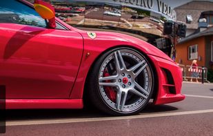 Charitable Exotics screenshot 3