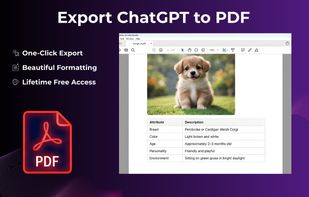 Chatgpt to PDF