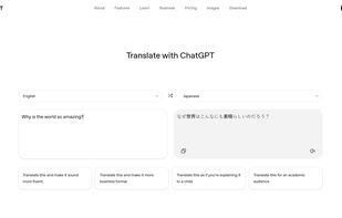ChatGPT Translate screenshot 3