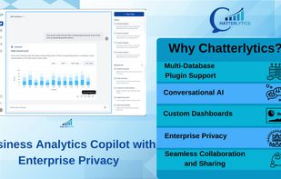 Business Analytics copilot with Enterprise Privacy