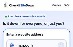 CheckIfSiteDown screenshot 1