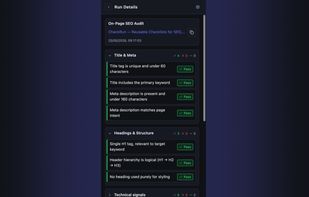 Run details view — On-Page SEO Audit in progress, items marked Pass/Fail with color coding by section.