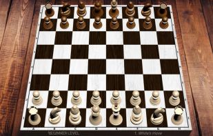 Chess screenshot 1